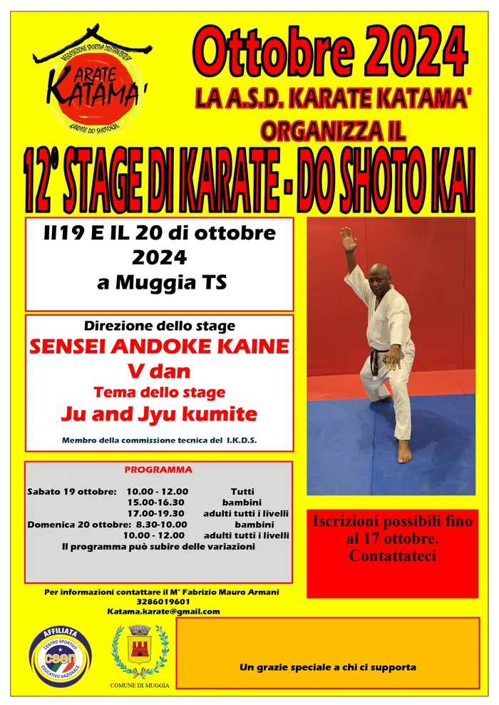 Locandina 12° Stage di Karate-do Shoto Kai, ottobre 2024